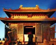 张湾天气预报7天